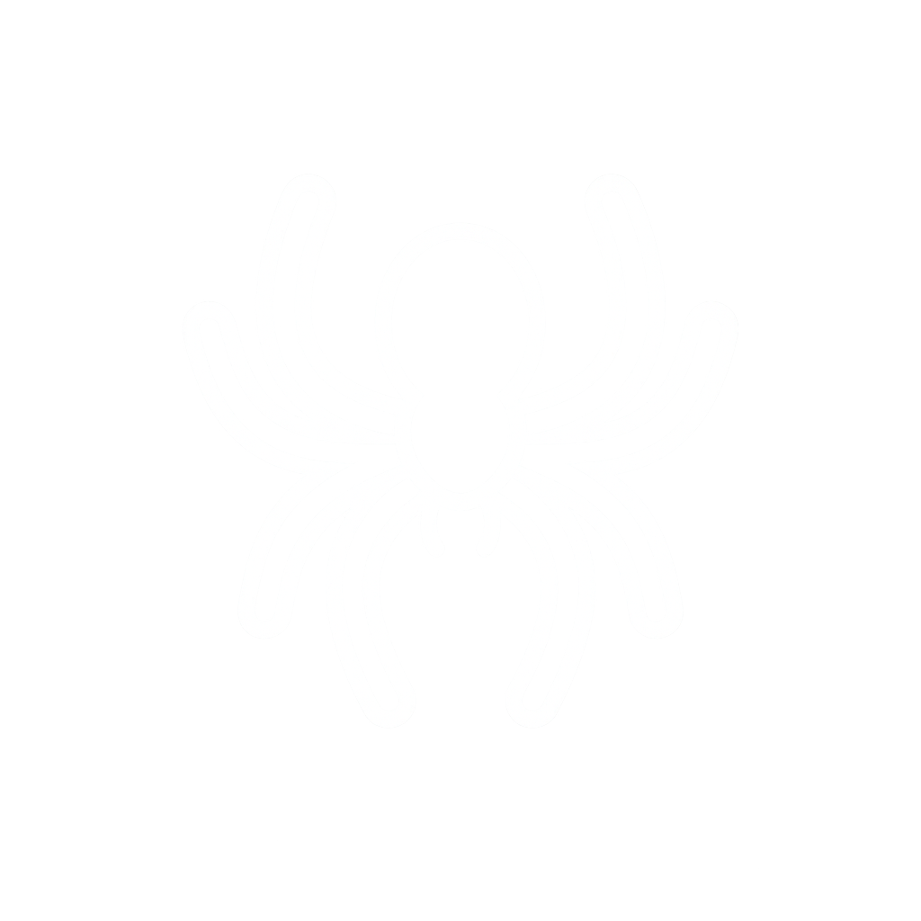 Spider control icon